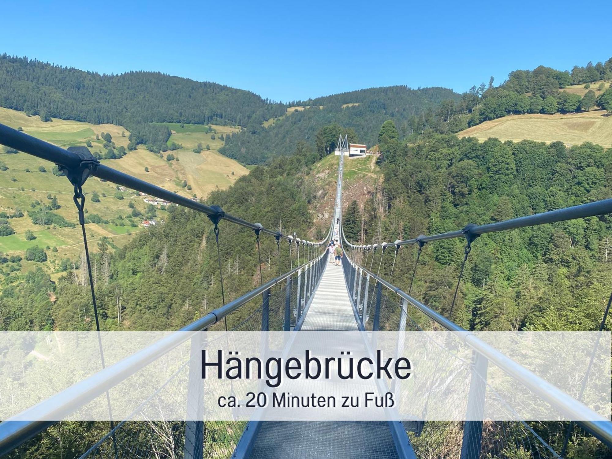 Naturverliebt Ideal Fuer Familien Direkt An Wanderwegen Sauna Im Haus Spielzimmer Tiefgarage E-ladestation Apartment Todtnauberg