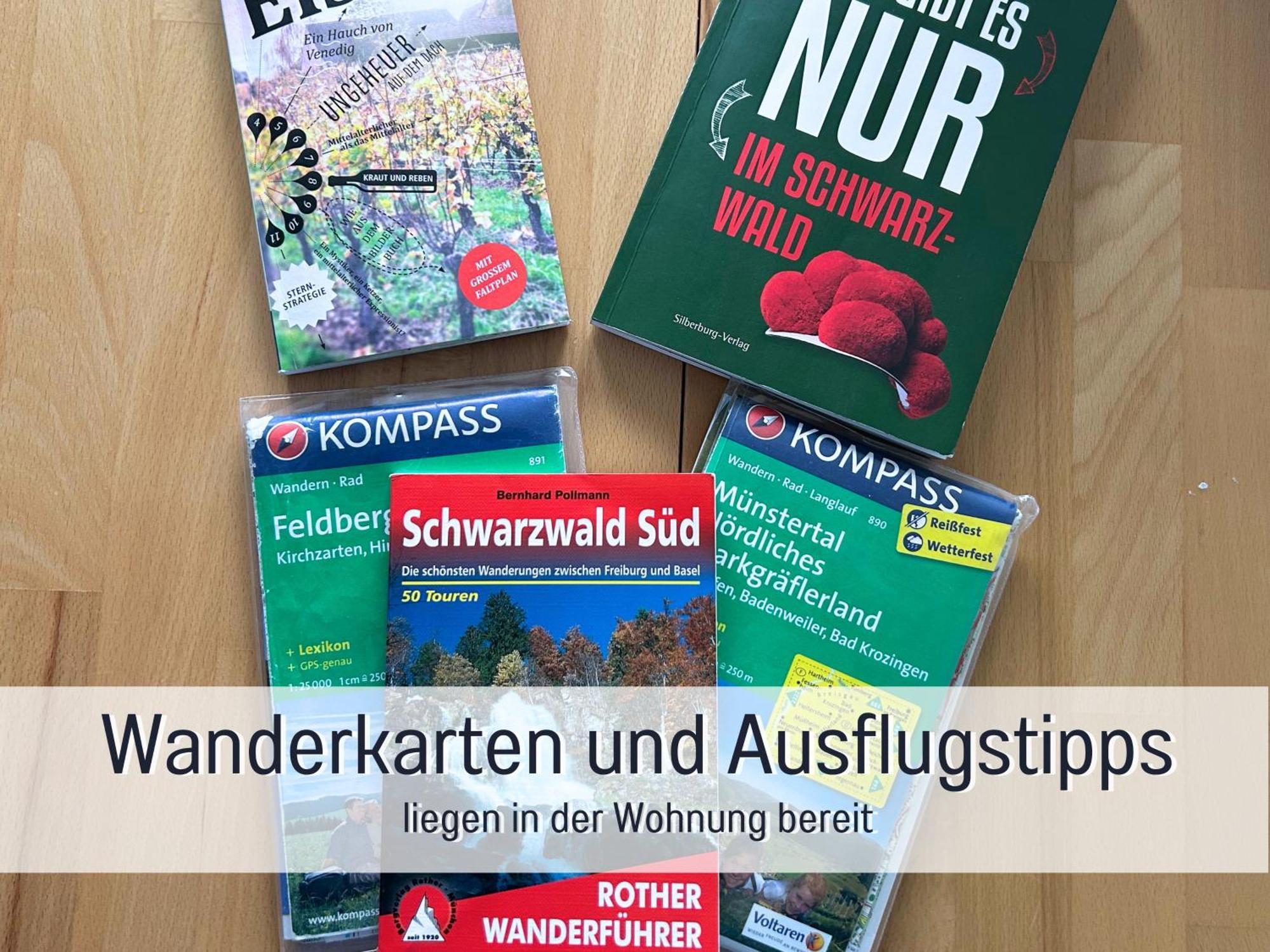 Naturverliebt Ideal Fuer Familien Direkt An Wanderwegen Sauna Im Haus Spielzimmer Tiefgarage E-ladestation Todtnauberg