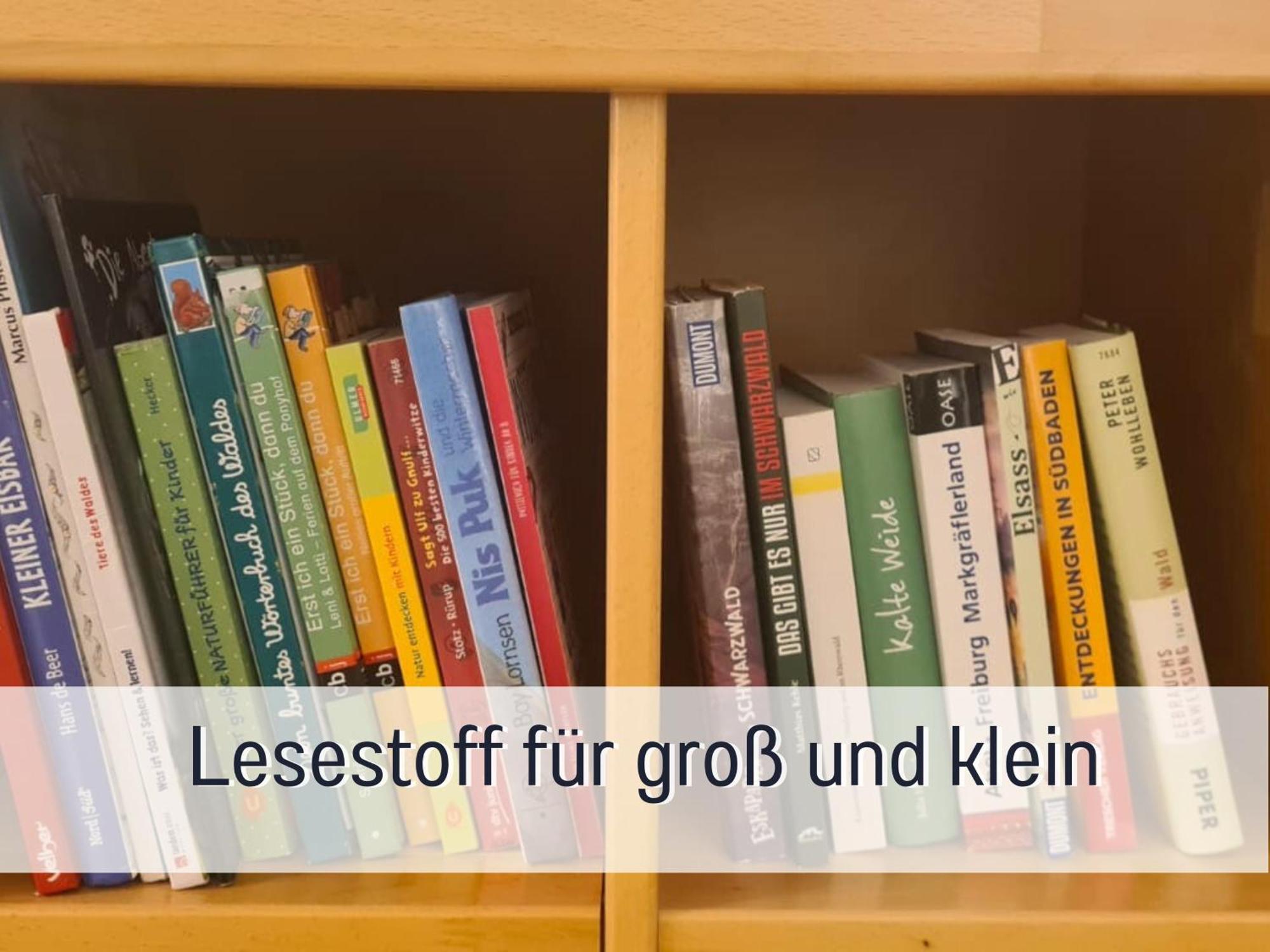Naturverliebt Ideal Fuer Familien Direkt An Wanderwegen Sauna Im Haus Spielzimmer Tiefgarage E-ladestation Apartment *