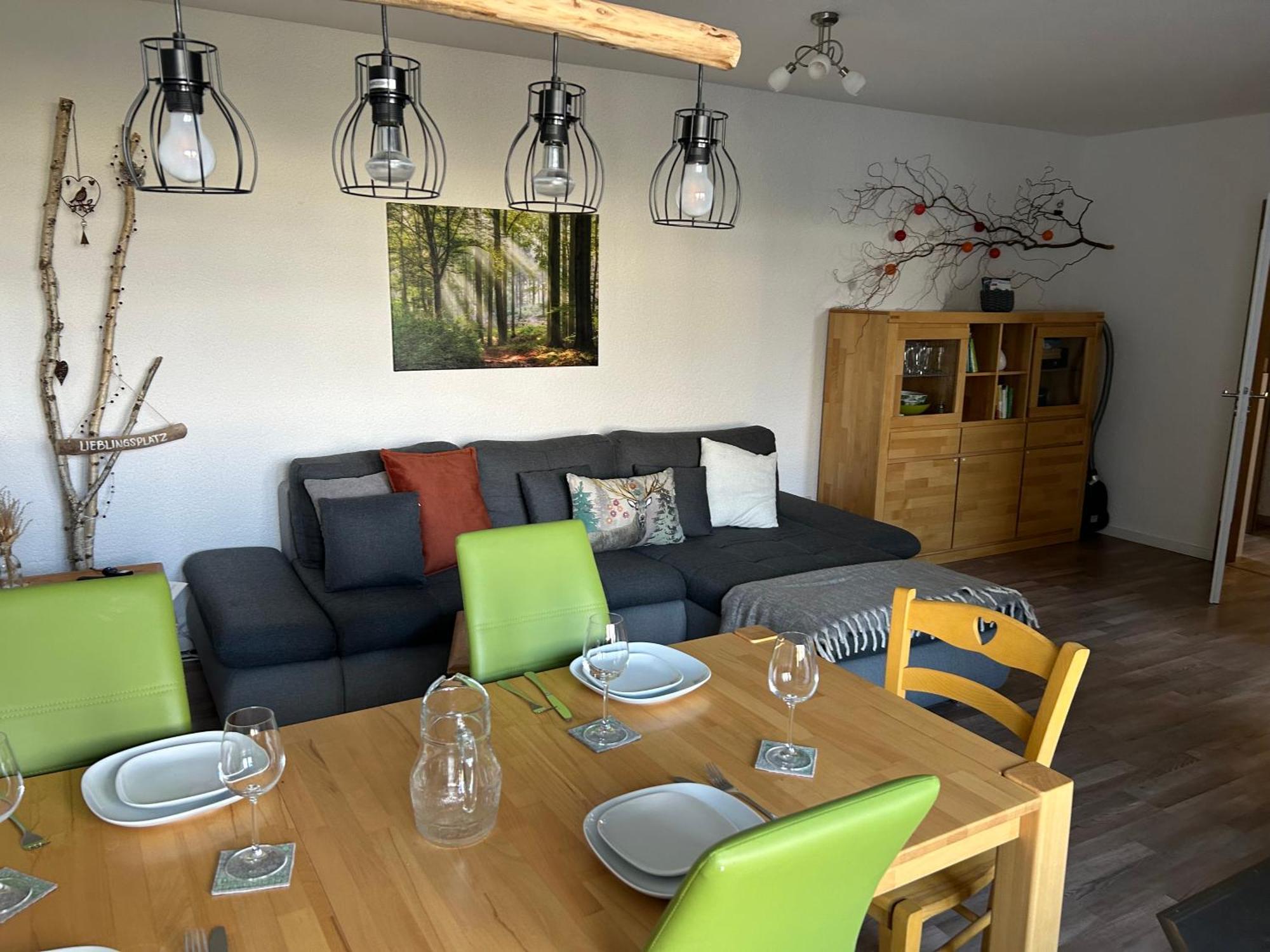 Naturverliebt Ideal Fuer Familien Direkt An Wanderwegen Sauna Im Haus Spielzimmer Tiefgarage E-ladestation Apartment Todtnauberg